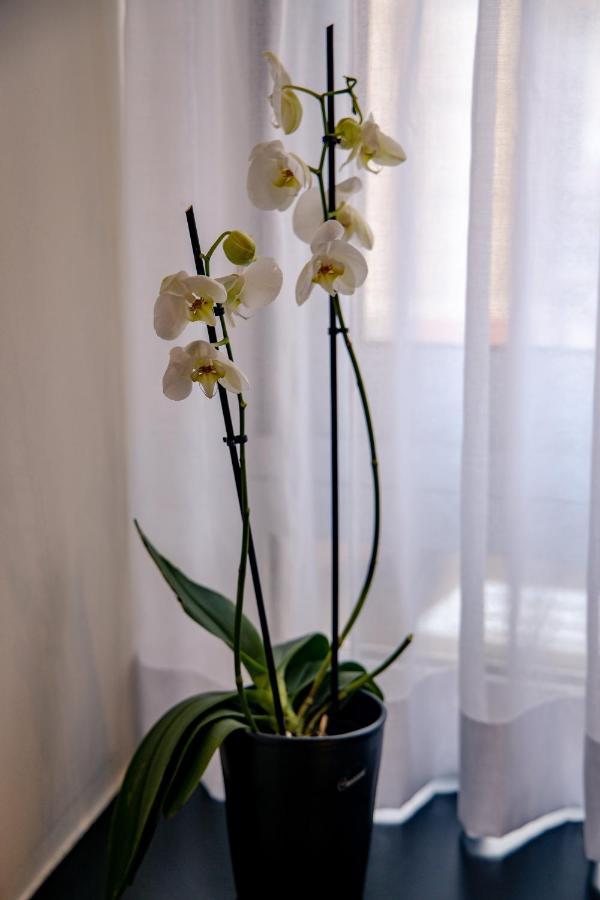 Triple A - Prime Location - Between Monastiraki & Syntagma Square-Free Parking! Aten Exteriör bild